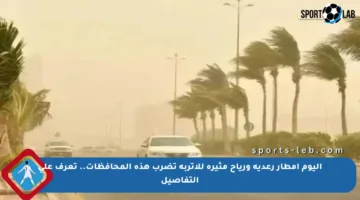 اليوم أمطار رعدية ورياح مثيرة للأتربة تضرب هذه المحافظات.. تعرف على التفاصيل